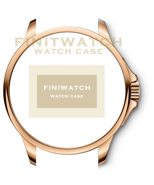 FINIWATCH 316L स्टेनलेस स्टील वॉच केस FC005 मेन IPG वॉच केस निर्माता